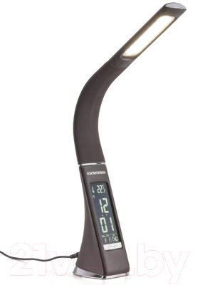 Настольная лампа Elektrostandard Elara TL90220 / 102349