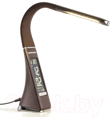 Настольная лампа Elektrostandard Elara TL90220 / 102349