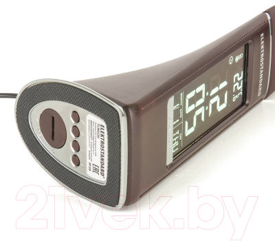 Настольная лампа Elektrostandard Elara TL90220 / 102349