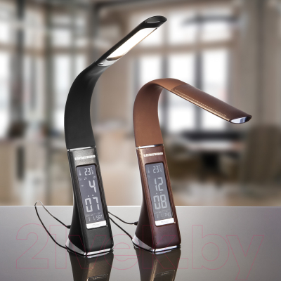 Настольная лампа Elektrostandard Elara TL90220 / 102349