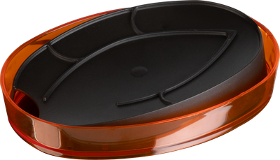 Мыльница Berossi Boho АС 97350000 - фото