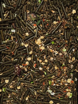 Корм для грызунов Zoonya для морских свинок