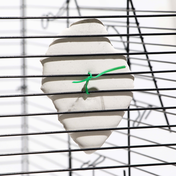 Минеральный камень для птиц Пижон Ракушка с углем