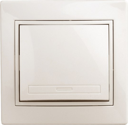 Выключатель INTRO Plano 1-101-02 / Б0053722 - фото
