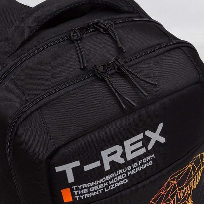 Школьный рюкзак Grizzly RB-556-3