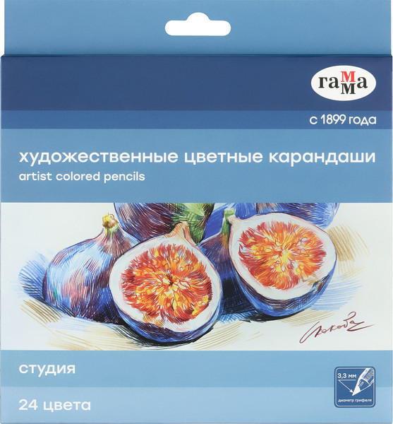 Набор цветных карандашей ГАММА Студия / 100822_24 - фото