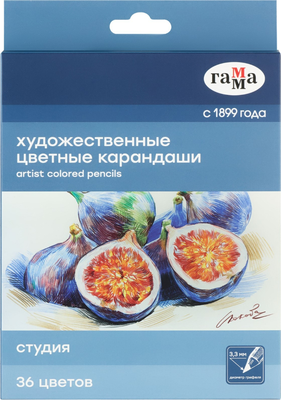 Набор цветных карандашей ГАММА Студия / 100822_36 - фото