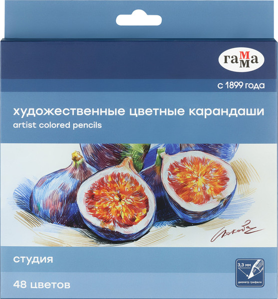 Набор цветных карандашей ГАММА Студия / 100822_48 - фото