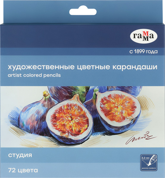 Набор цветных карандашей ГАММА Студия / 100822_72 - фото