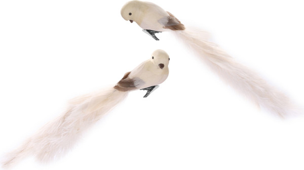 Елочная игрушка Shishi Птица / 51233