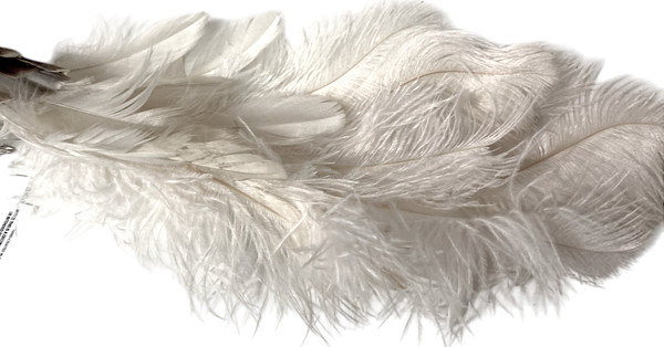 Елочная игрушка Shishi Птица / 51233