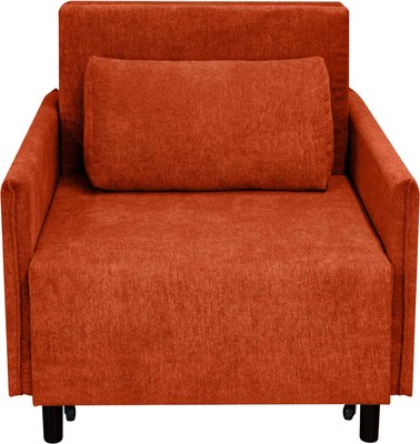 Кресло-кровать Домовой Визит-3 1 (80)