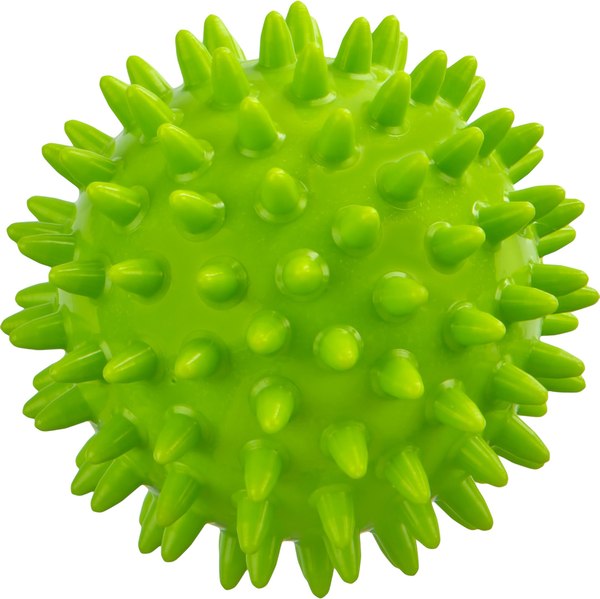 Массажный мяч Gold Cup H7CM - фото