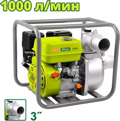 Мотопомпа DYLLU DTGW1A32