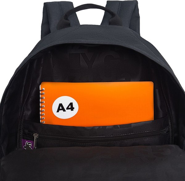 Рюкзак Grizzly RQL-417-6