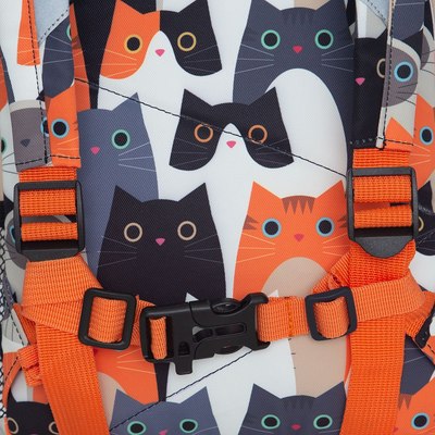 Детский рюкзак Grizzly RK-576-5