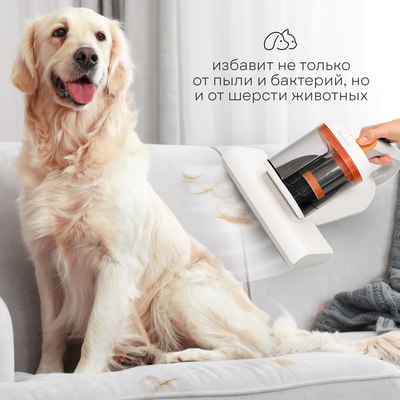 Портативный пылесос PLANTA PL-VCD02