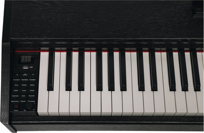 Цифровое фортепиано Aramius API-121 MBK