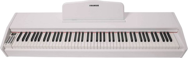 Цифровое фортепиано Aramius API-121 MWH - фото