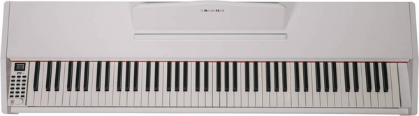 Цифровое фортепиано Aramius API-121 MWH