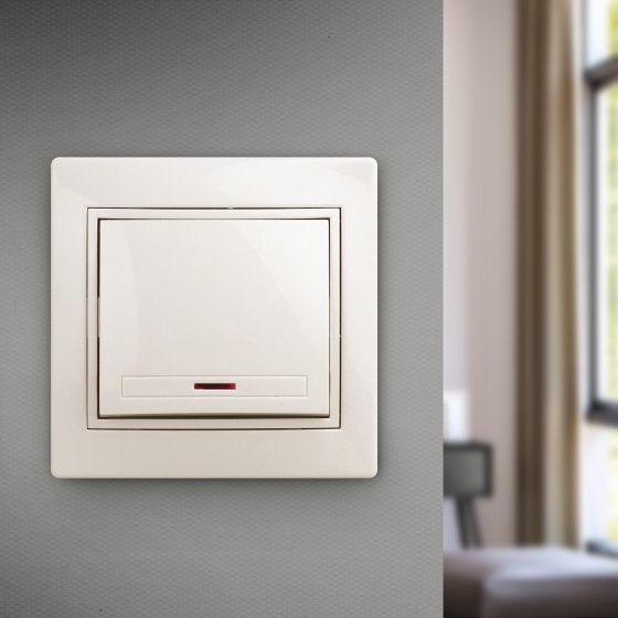 Выключатель INTRO Plano 1-102-02 / Б0053730