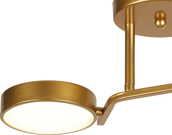 Потолочный светильник ESCADA 10273/2 LED