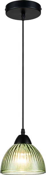 Потолочный светильник ESCADA 10185/1S - фото