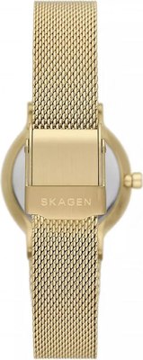 Часы наручные женские Skagen SKW3110