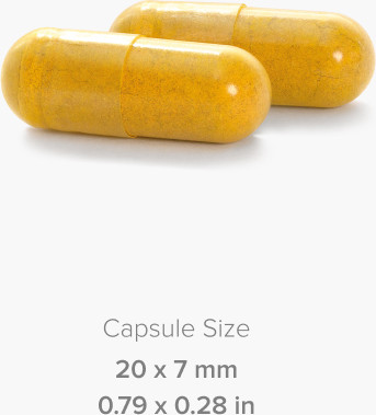 Коэнзим Maxler Q10