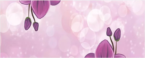 Шторка под ванну JoyArty 60x150 / bt_385249 - фото