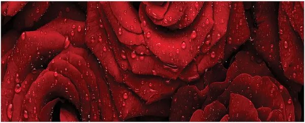 Шторка под ванну JoyArty 60x150 / bt_55699 - фото