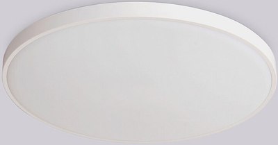 Потолочный светильник Sundays Home 240924-9 / 5726