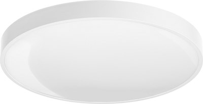 Потолочный светильник Sundays Home 240924-10 / 5733