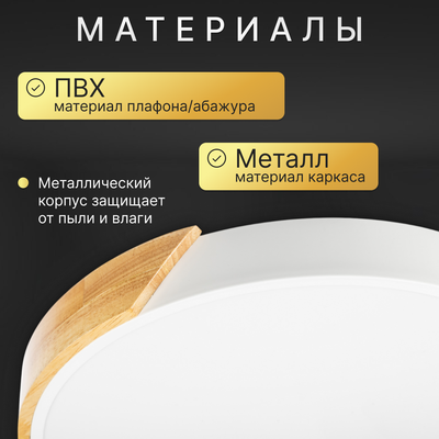 Потолочный светильник Sundays Home 240924-19 / 5825