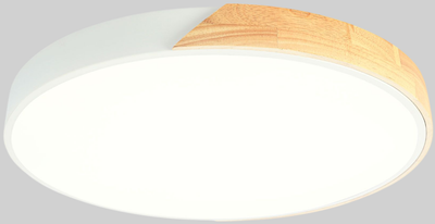 Потолочный светильник Sundays Home 240924-19 / 5825