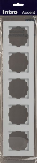 Рамка для выключателей и розеток INTRO Accent 6-505-01 / Б0063775