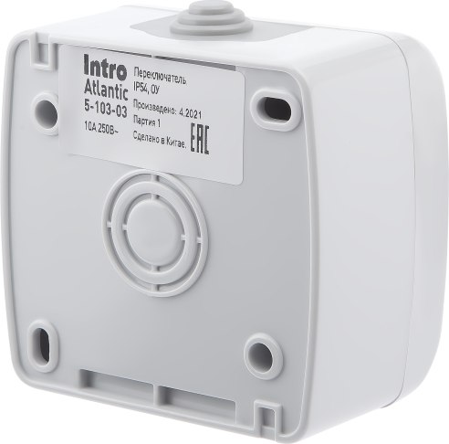 Выключатель INTRO Atlantic 5-103-03 / Б0050942