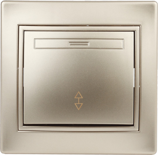 Выключатель INTRO Plano 1-103-04 / Б0053748 - фото