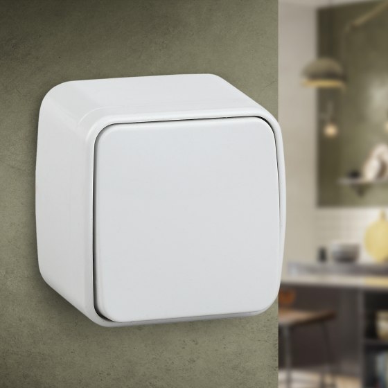 Выключатель INTRO Polo 3-103-01 / Б0036094