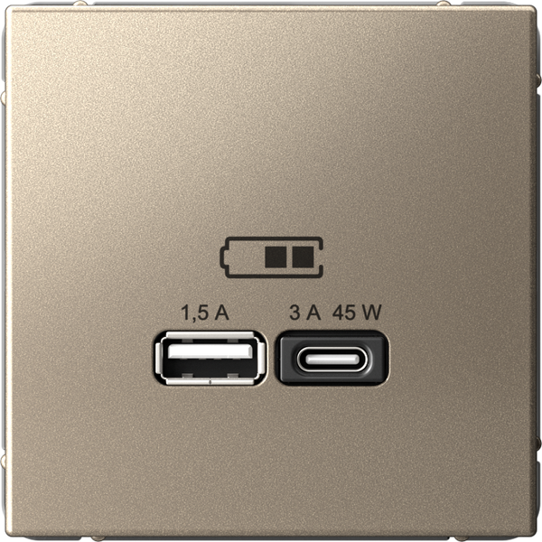 Розетка Systeme (Schneider) Electric ArtGallery GAL000529 - фото