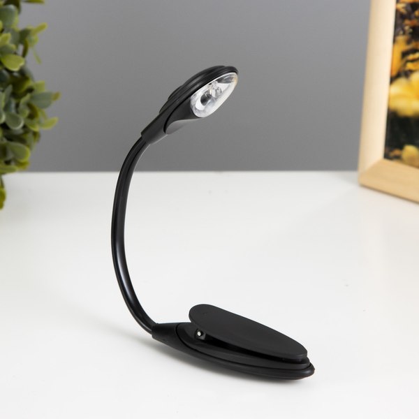 Лампа для чтения Risalux Лоск 3563843