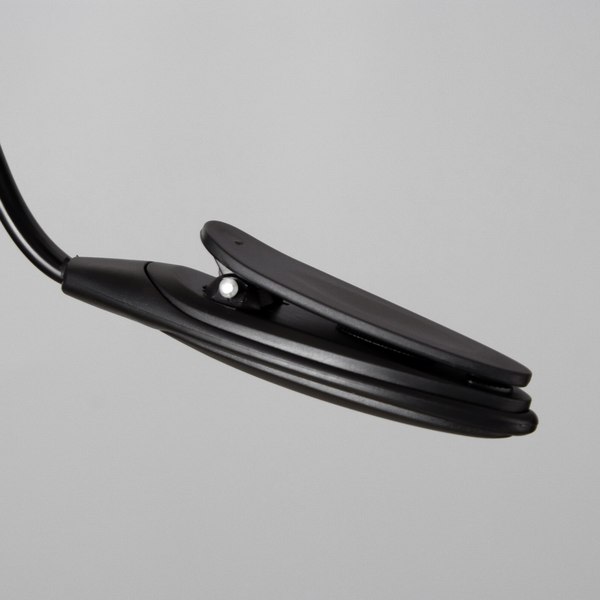 Лампа для чтения Risalux Лоск 3563843