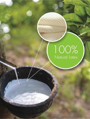 Матрас Coala Home Talalay 90x200x15