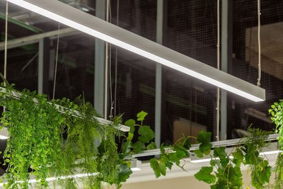 Потолочный светильник Lightera PL-Liner-5070-1970-W4A / PLL7A8W4A