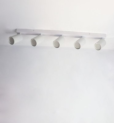 Спот Truenergy 21371