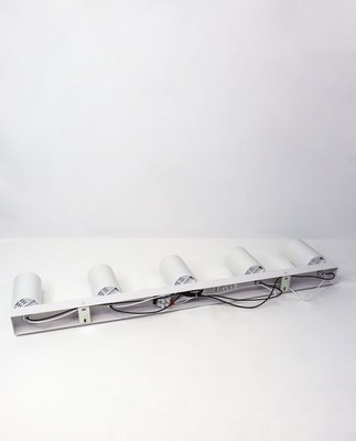 Спот Truenergy 21371