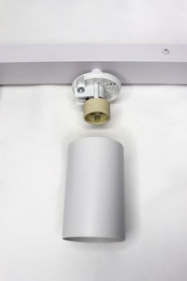 Спот Truenergy 21371