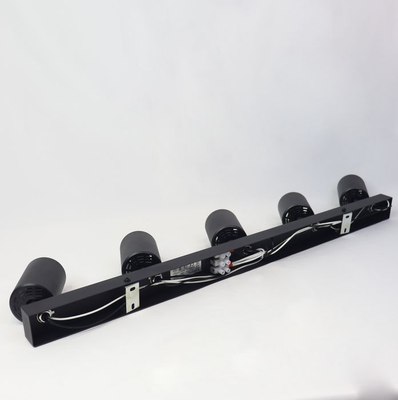 Спот Truenergy 21372