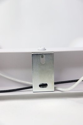 Спот Truenergy 21373