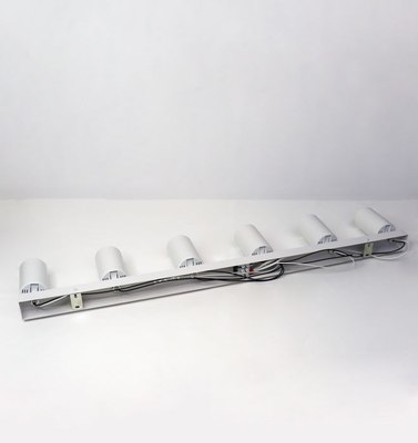 Спот Truenergy 21373